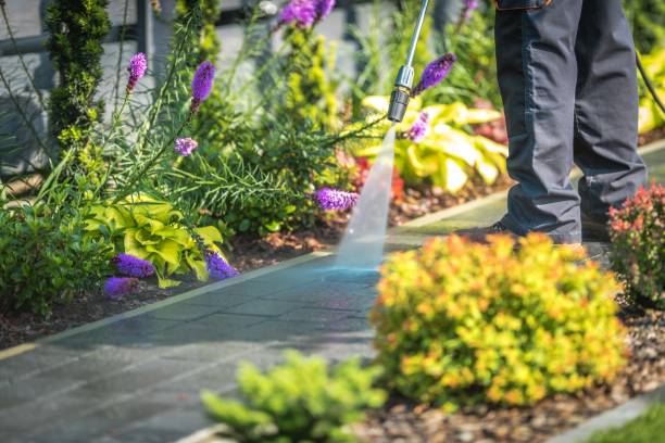 Best Building Exterior Pressure Washing in Hamilton, AL