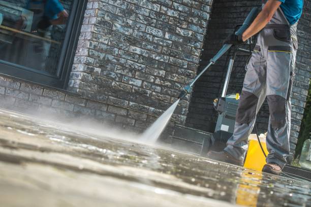 Best Soft Washing for Delicate Surfaces in Hamilton, AL